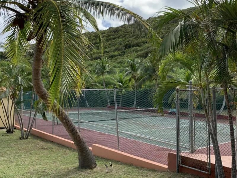 Villa Madeleine St Croix tennis court